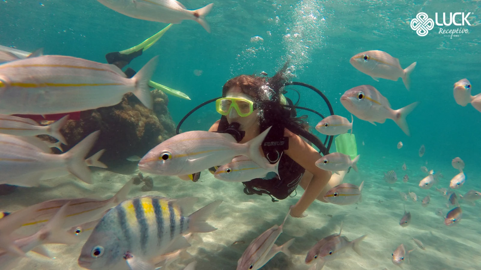 Mergulho com snorkel (incluso) ou cilindro (opcional)