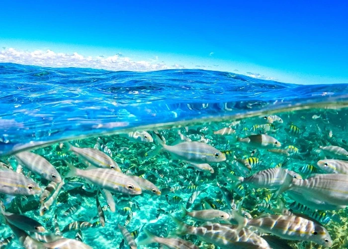 Mergulho com snorkel em piscinas naturais
